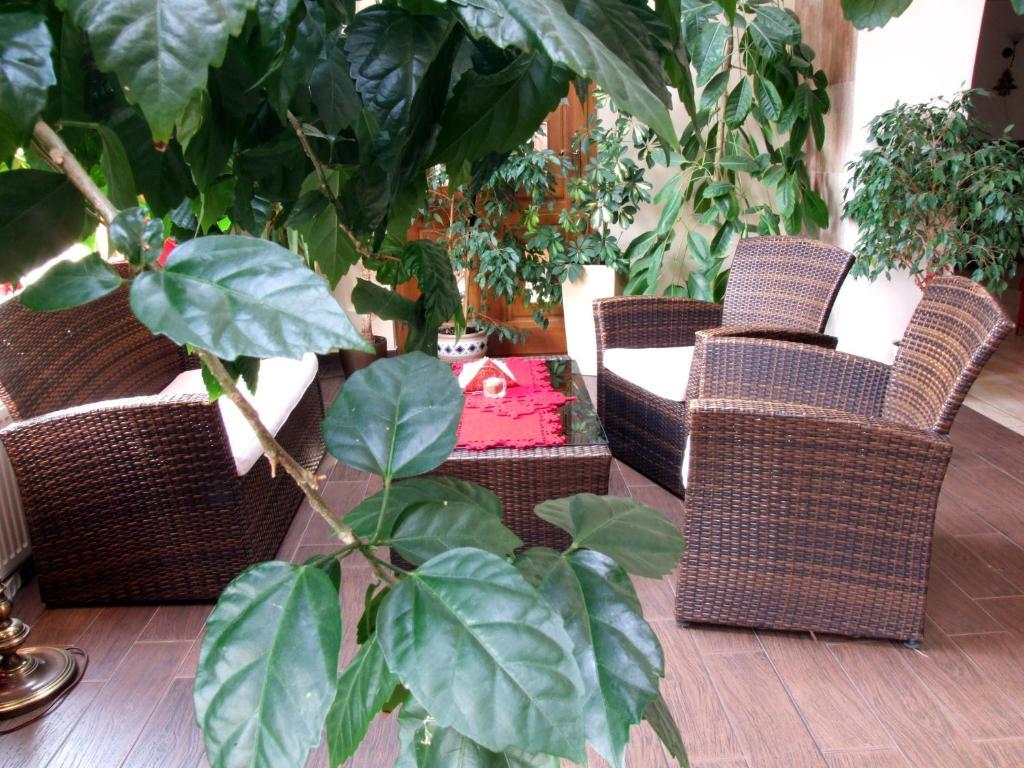 Motel Zacisze Ломжа Екстер'єр фото